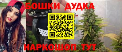 гидра Новозыбков