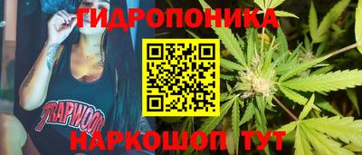 гидра Новозыбков