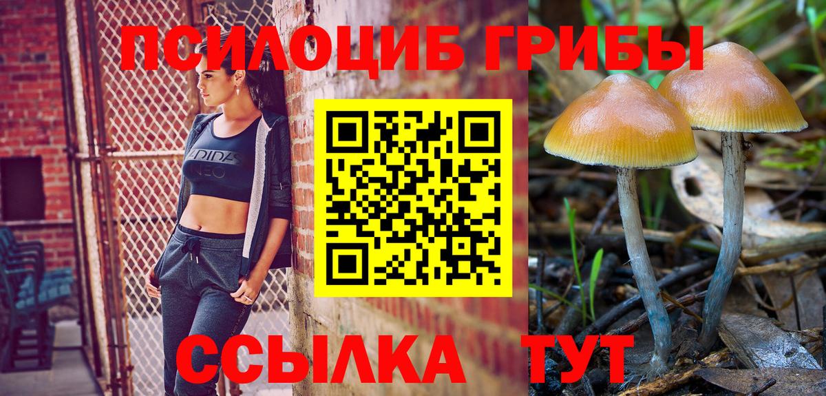 Галлюциногенные грибы прущие грибы Томск