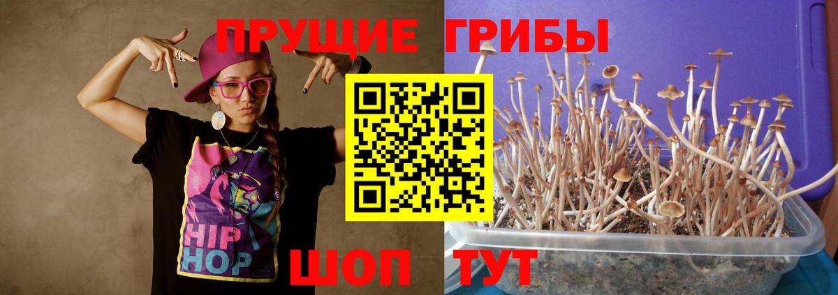 Псилоцибиновые грибы ЛСД  Вход с VPN  Томск 