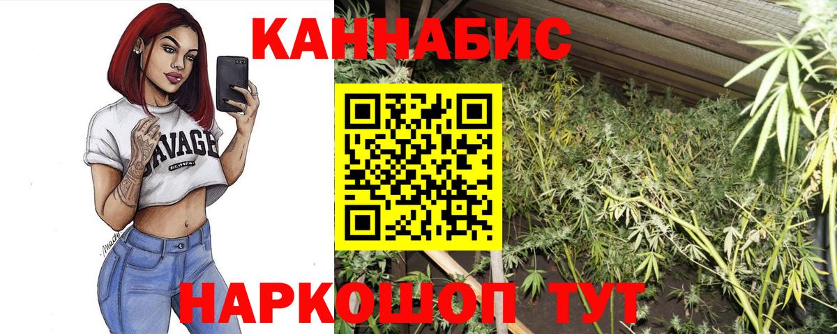 Бошки марихуана гибрид  Бошки Шишки семена  Вход с VPN  Томск 